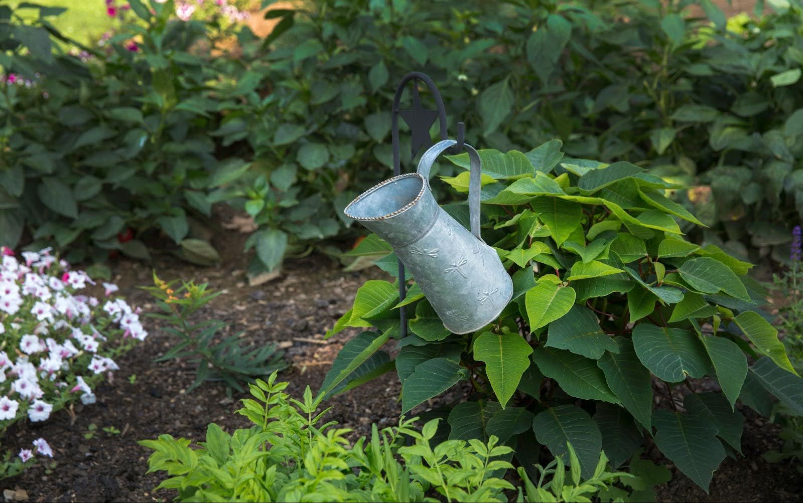 Why Gardening Is the Perfect Hobby for Retirement