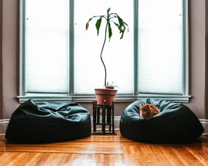 How to Make Downsizing for Retirement Easier