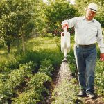 Sustainable Living Tips for Older Adults